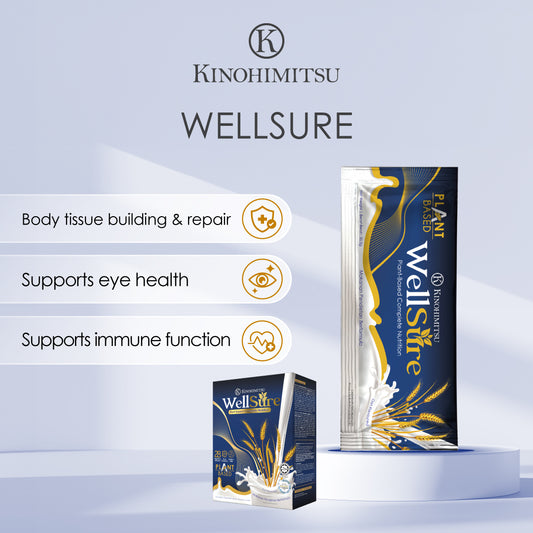 Wellsure 30.3g x 10 sachets